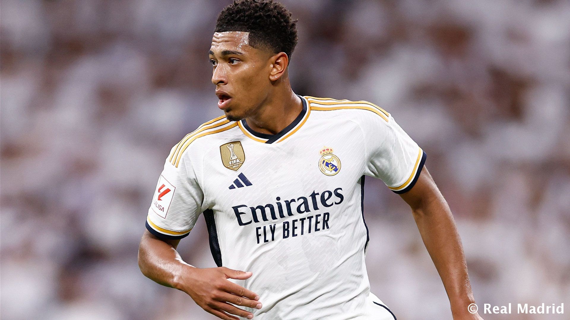 EuroMillions2025年爱尔兰中奖者人数最多