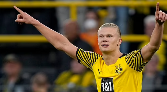 张继科：身体打到2029年没问题，实力能打到全运会男单8强！