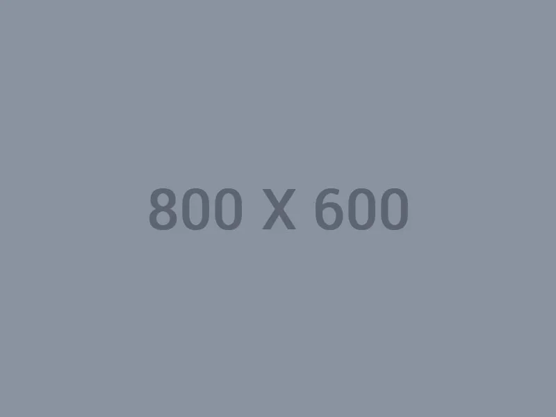 动速体育