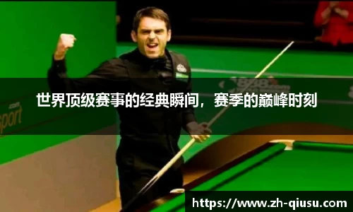 球速体育